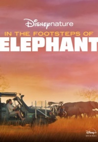 Tras los pasos del elefante (2020)
